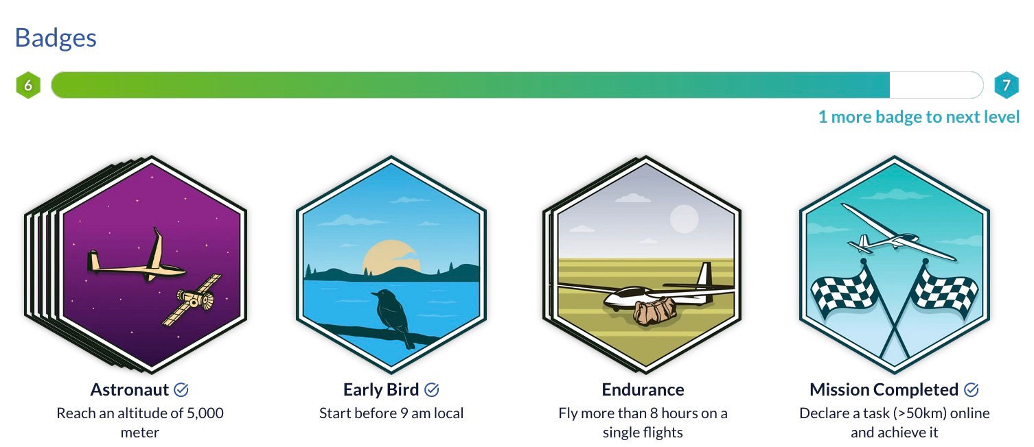 Badge Level